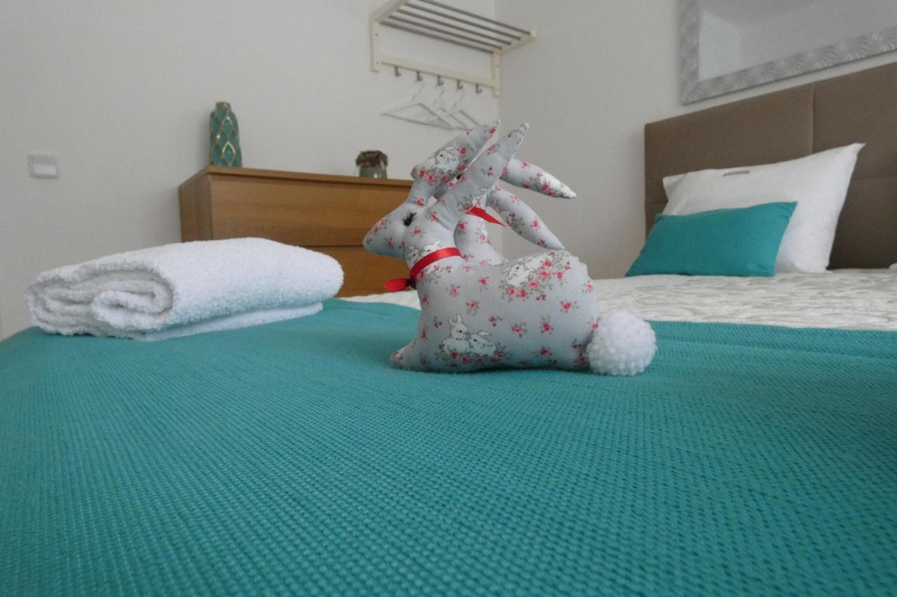 Casa Sandra - Apartamento Carlota Lousã Eksteriør billede