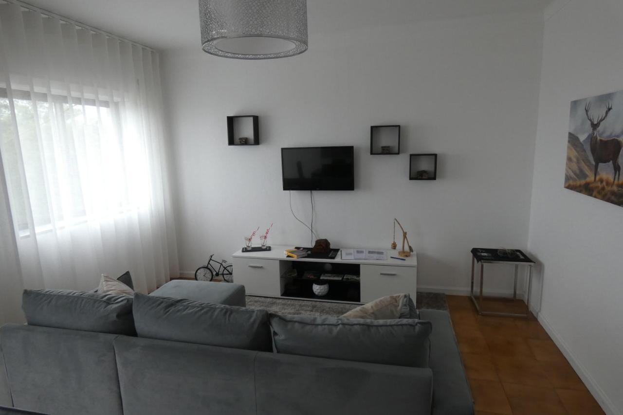Casa Sandra - Apartamento Carlota Lousã Eksteriør billede