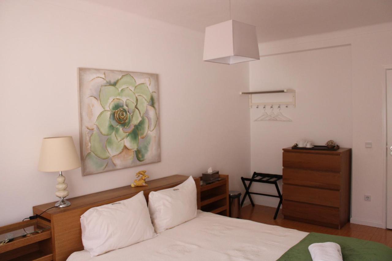 Casa Sandra - Apartamento Carlota Lousã Eksteriør billede